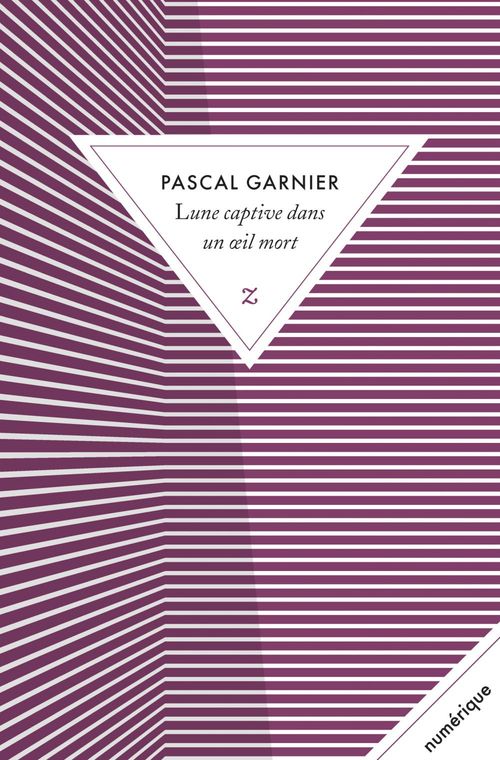 ebook cover of Lune captive dans un oeil mort, by Pascal Garnier