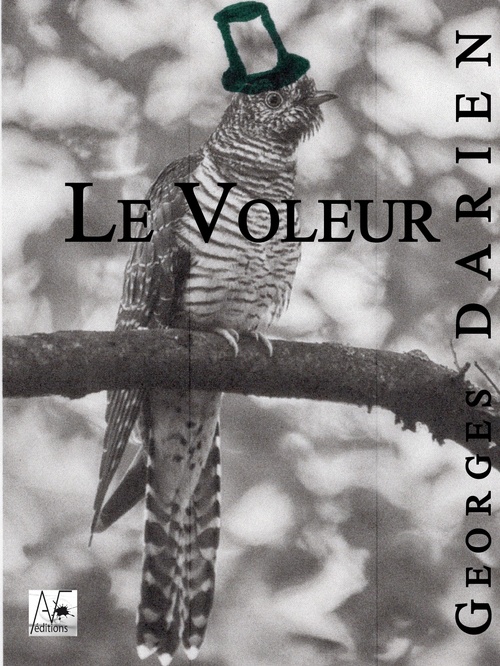 Couverture ebook de Le Voleur, de Georges Darien