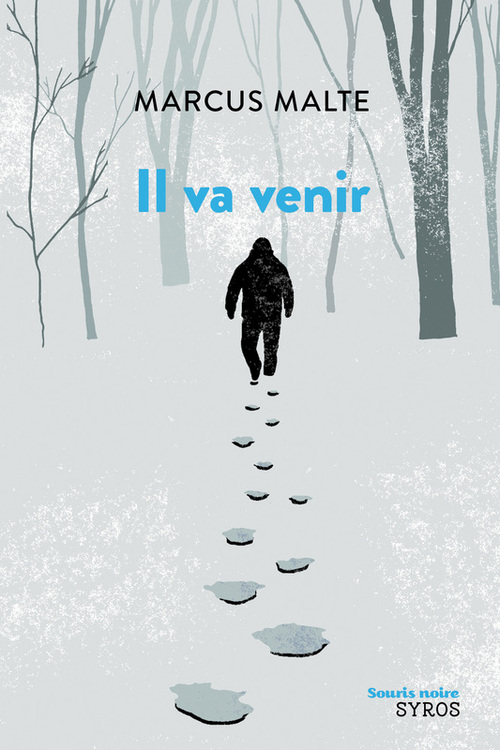ebook cover of Il va venir, by Marcus Malte