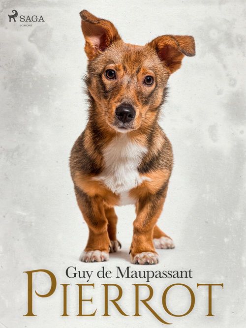 Couverture ebook de Pierrot, de Guy  De Maupassant