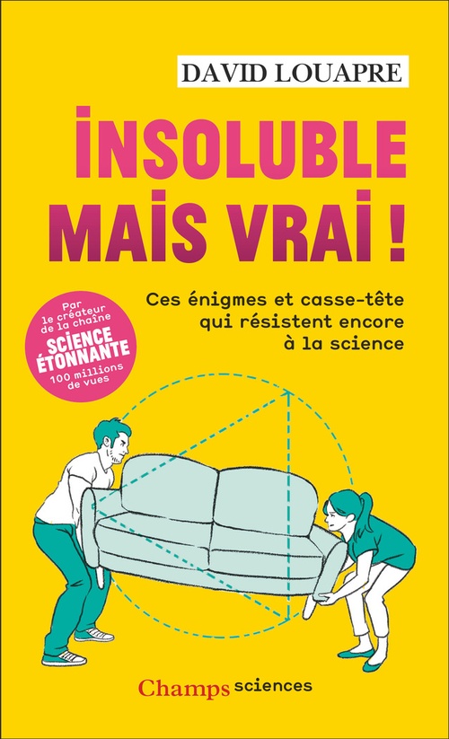 Couverture ebook de Insoluble mais vrai !, de David Louapre