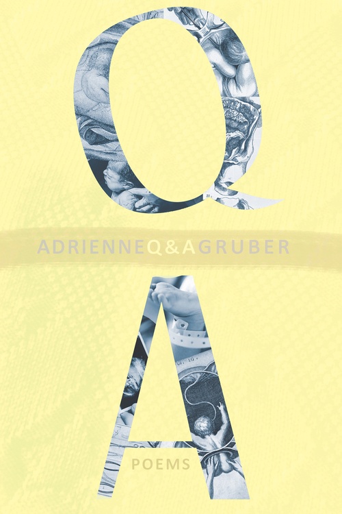ebook cover of Q & A, by Adrienne Gruber