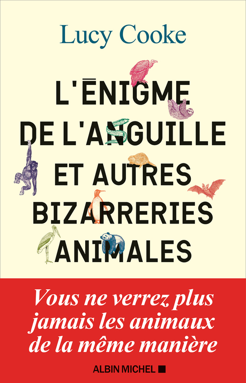 Couverture ebook de L'Enigme de l'anguille, de Lucy Cooke, Esther Menevis