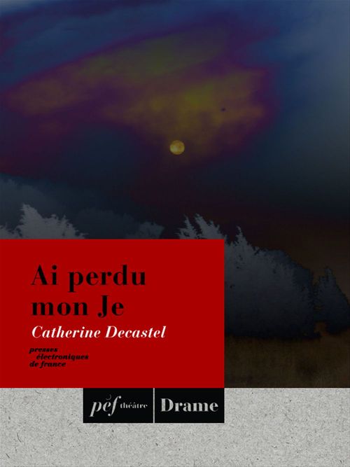 ebook cover of Ai perdu mon Je, by Catherine Decastel