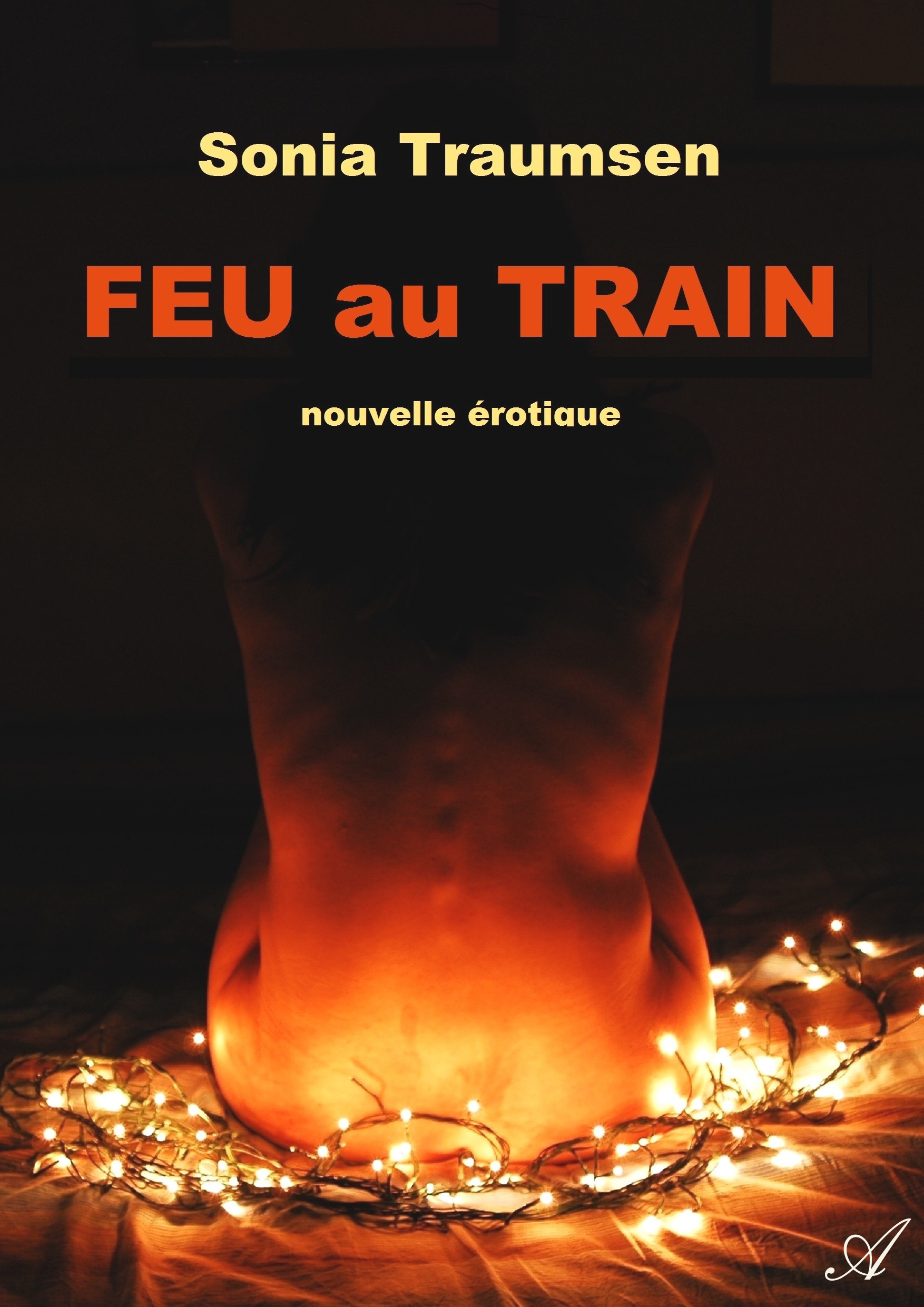 Couverture ebook de Feu au train, de Sonia Traumsen