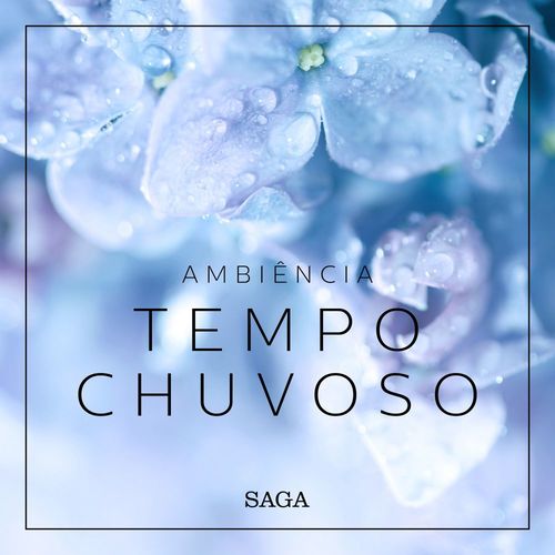 audiobook cover of Ambiência - Tempo Chuvoso, by Rasmus Broe