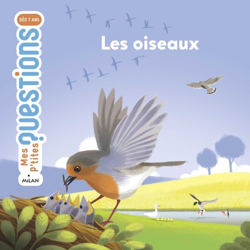 ebook cover of Les oiseaux, by Stéphanie Ledu