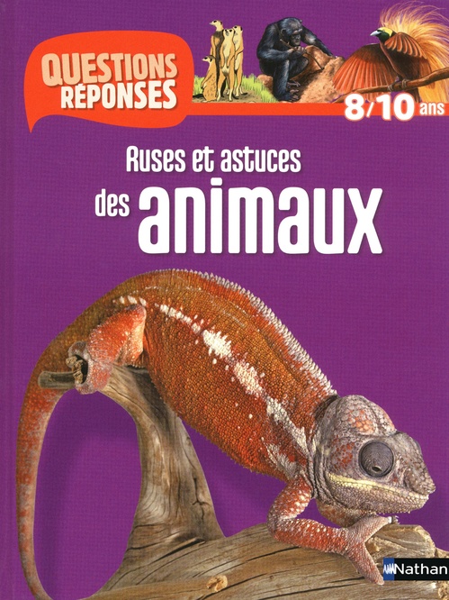 Couverture ebook de Ruses et astuces des animaux, de Emmanuelle Ousset