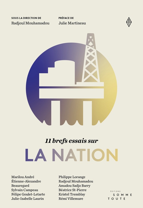ebook cover of 11 brefs essais sur la nation, by Radjoul Mouhamadou