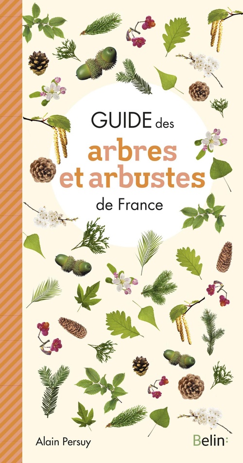ebook cover of Guide des Arbres et Arbustes de France, by Alain Persuy