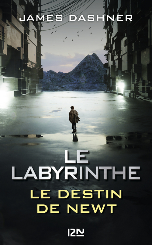 ebook cover of Le Labyrinthe - Le destin de Newt, by James Dashner