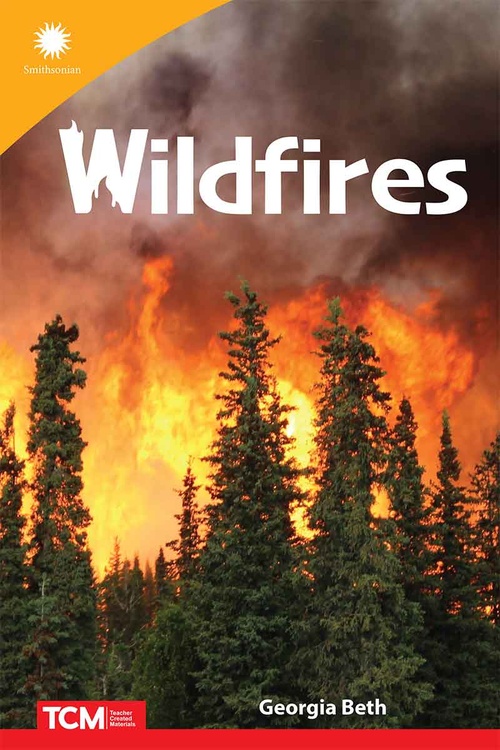 ebook cover of Wildfires, by Georgia Beth