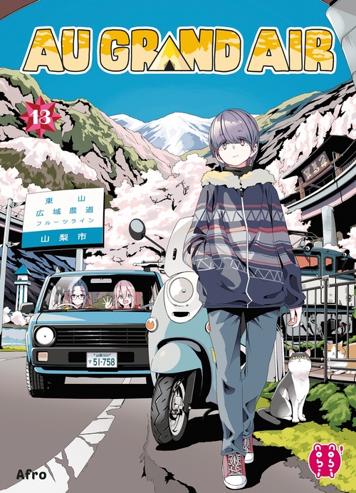 ebook cover of Au grand air T13, by Afro
