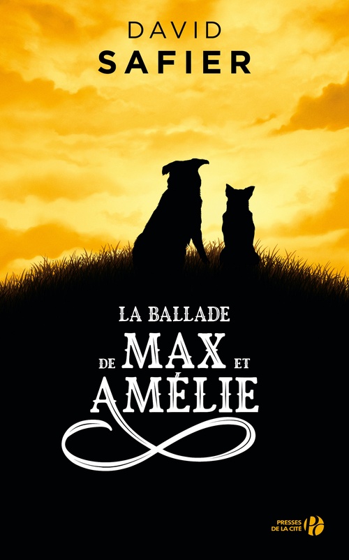 ebook cover of La Ballade de Max et Amélie, by David Safier