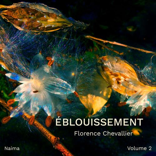 Couverture ebook de Éblouissement, volume 2, de Florence Chevallier