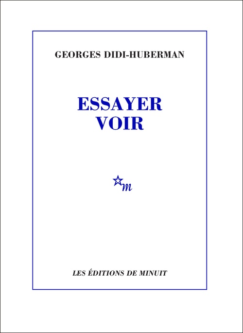 ebook cover of Essayer voir, by Georges Didi-Huberman