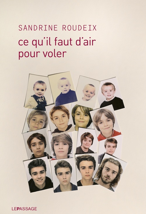 ebook cover of Ce qu'il faut d'air pour voler, by Sandrine Roudeix