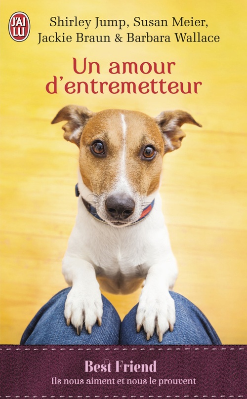 ebook cover of Un amour d'entremetteur, by Jackie Braun, Shirley Jump, Susan Meier, Barbara Wallace, Sophie Dalle