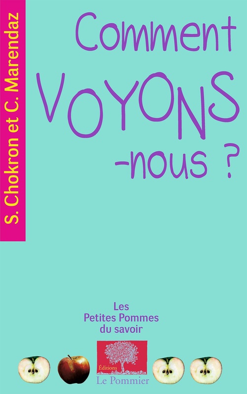 ebook cover of Comment voyons-nous ?, by Sylvie Chokron, Christian Marendaz