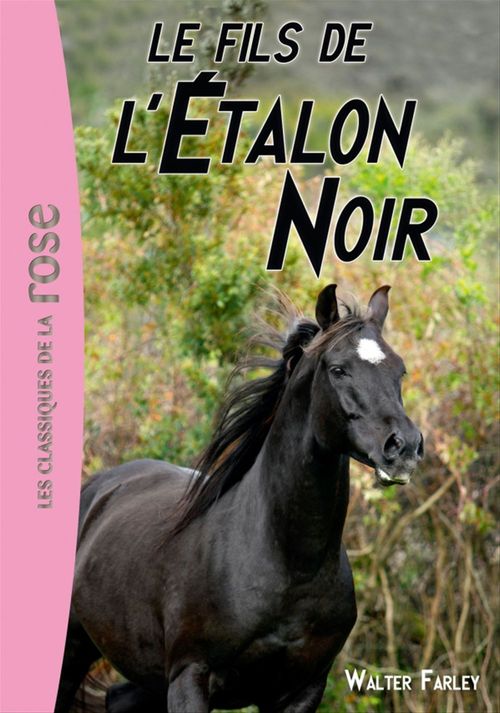 Couverture ebook de L'étalon noir 04 - Le fils de l'Étalon Noir, de Steven Farley, Walter Farley