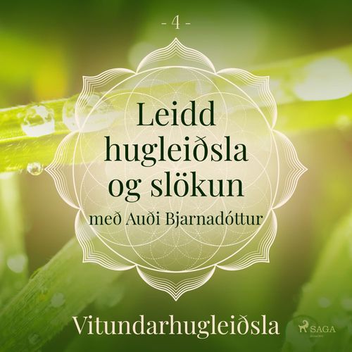 audiobook cover of Leidd hugleiðsla og slökun - Vitundarhugleiðsla, by Trine Holt Arnsberg