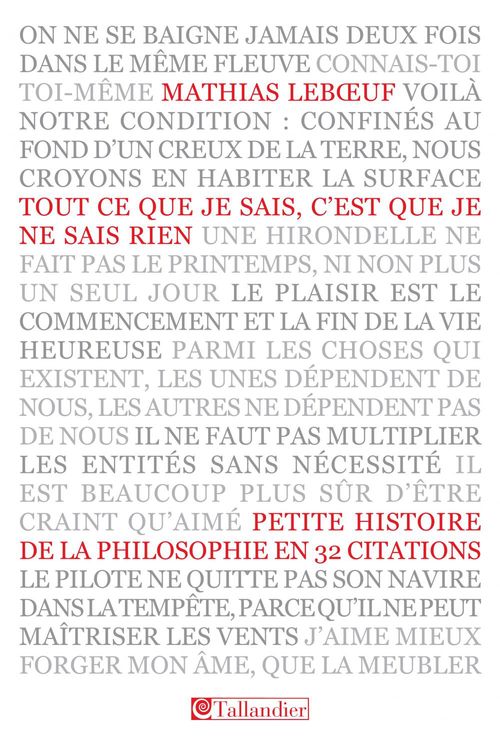ebook cover of Tout ce que  je sais, c'est que je ne sais rien, by Mathias Leboeuf