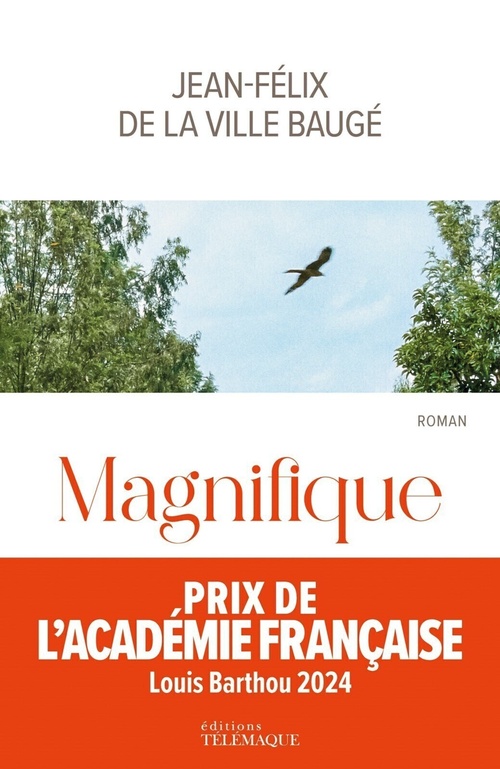 ebook cover of Magnifique, by Jean-Félix de La Ville Baugé