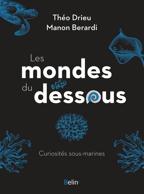 Couverture ebook de Les mondes du dessous : Curiosités sous-marines, de Manon Berardi, Théo Drieu