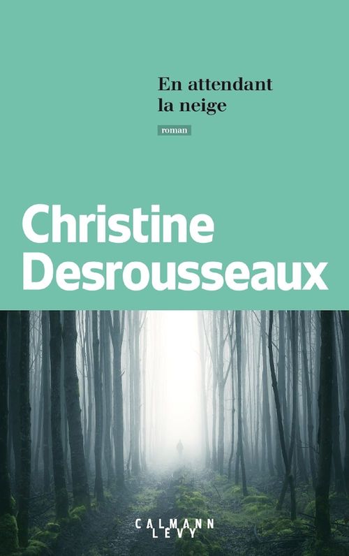 Couverture ebook de En attendant la neige, de Christine Desrousseaux