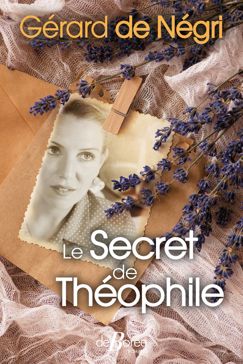 ebook cover of Le Secret de Théophile, by Gérard de Negri