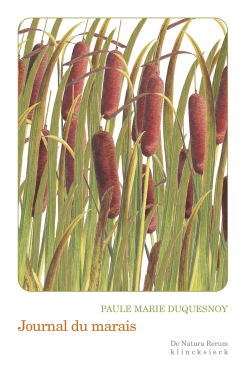 ebook cover of Journal du marais, by Paule Marie Duquesnoy