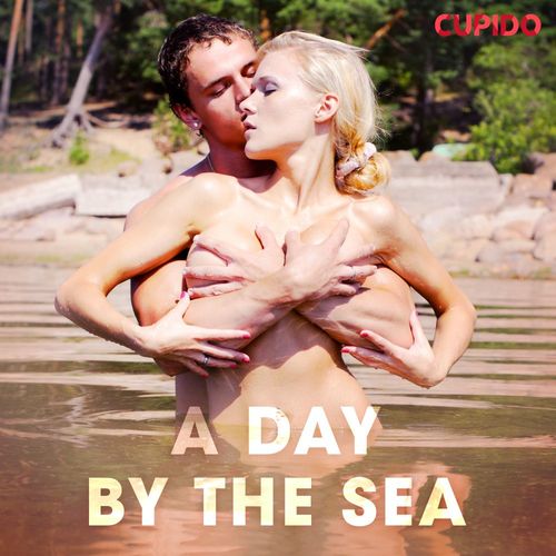 audiobook cover of A Day by the Sea, by Cupido And Others