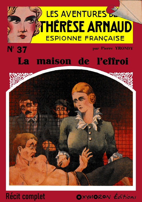 ebook cover of La maison de l'effroi, by Pierre Yrondy