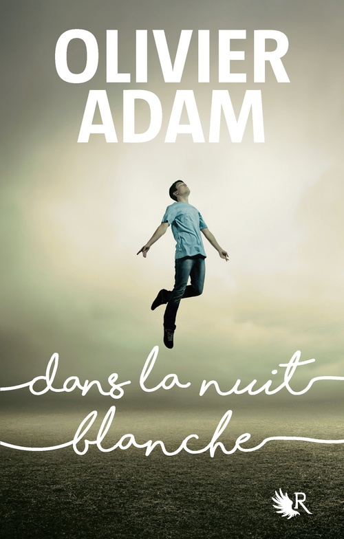 ebook cover of Dans la nuit blanche, by Olivier Adam