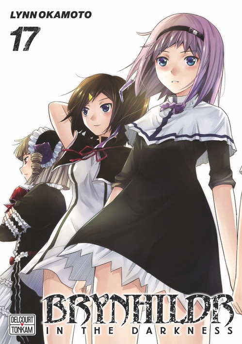 ebook cover of Brynhildr in the Darkness T17, by Lynn Okamoto