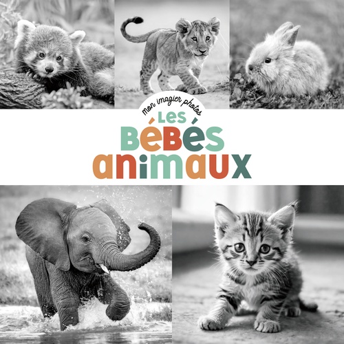 ebook cover of Mon imagier photos- Les bébés animaux, by Jeunesse Studio Casterman