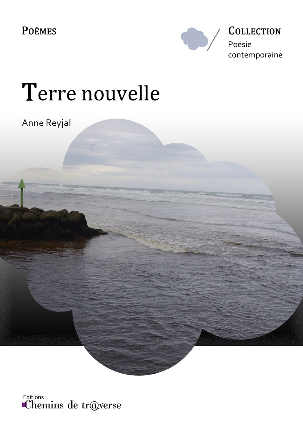 ebook cover of Terre nouvelle, by Reyjal Anne