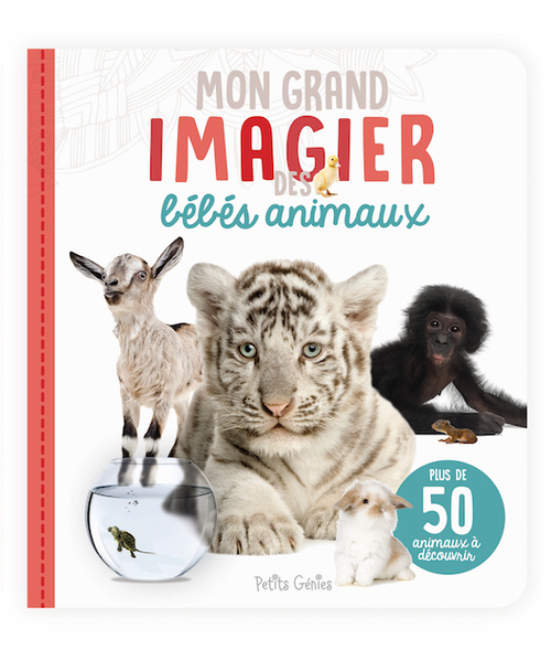 Couverture ebook de Mon grand imagier des bébés animaux, de Claire Chabot