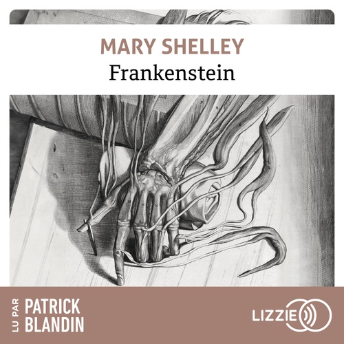 Couverture audiobook de Frankenstein ou le Promethée moderne, de Mary Shelley
