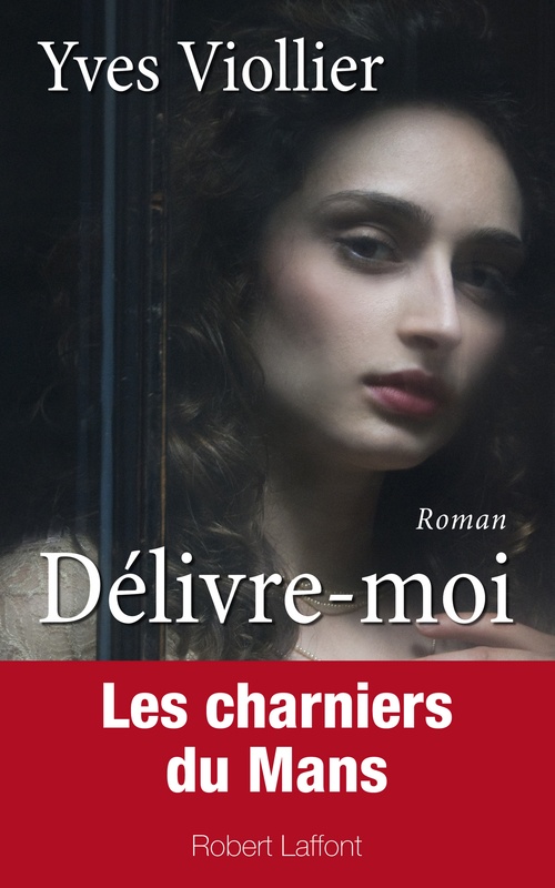 ebook cover of Délivre-moi, by Yves Viollier