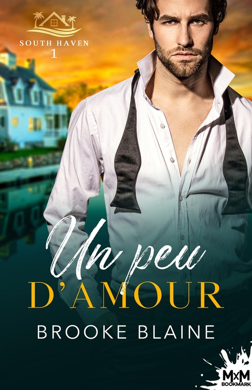 Couverture ebook de Un peu d´amour, de Brooke Blaine