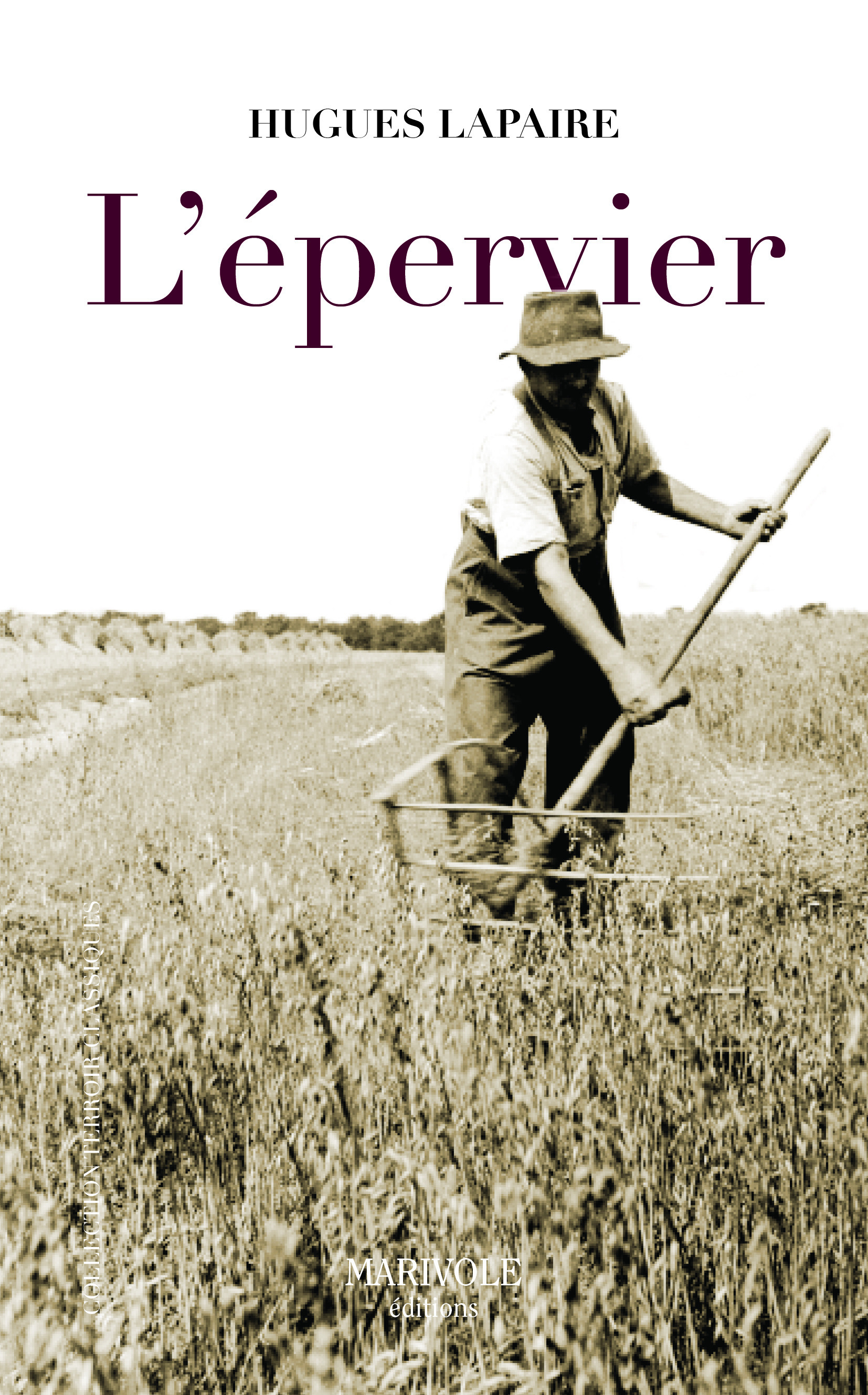 Couverture ebook de L'Épervier, de Hugues Lapaire