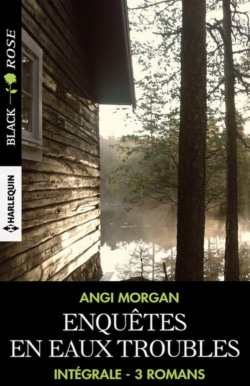 Couverture ebook de Enquêtes en eaux troubles - Intégrale 3 romans, de Angi Morgan