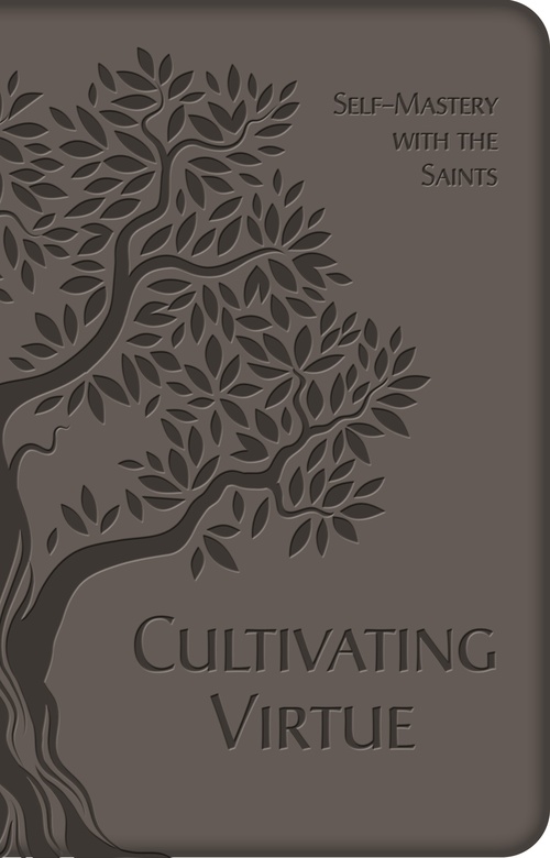 ebook cover of Cultivating Virtue, by Tan Books