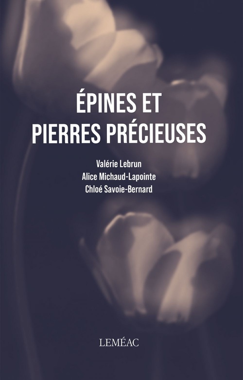 Couverture ebook de Épines et pierres précieuses, de Valérie Lebrun, Alice Michaud-Lapointe, Chloé Savoie-Bernard
