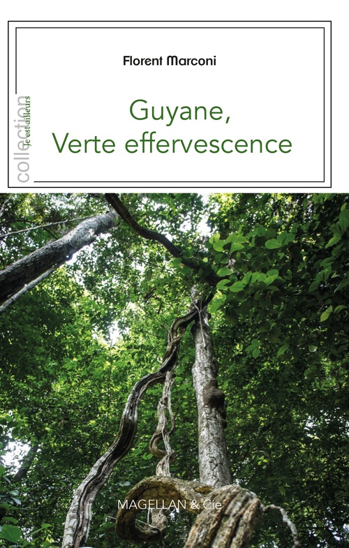 ebook cover of Guyane, by Florent Marconi
