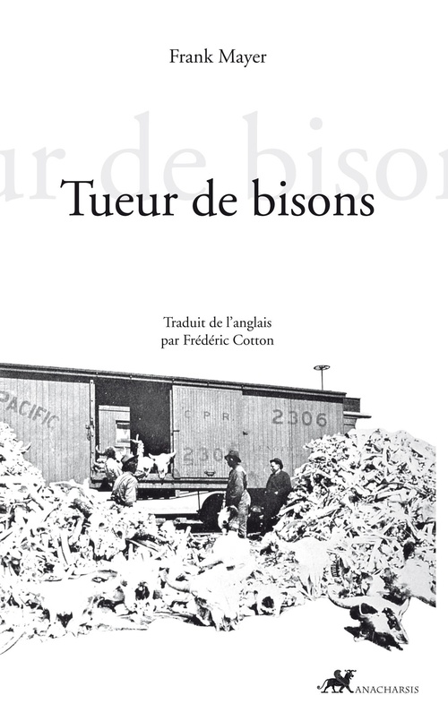 ebook cover of Tueur de bisons, by Frank Mayer