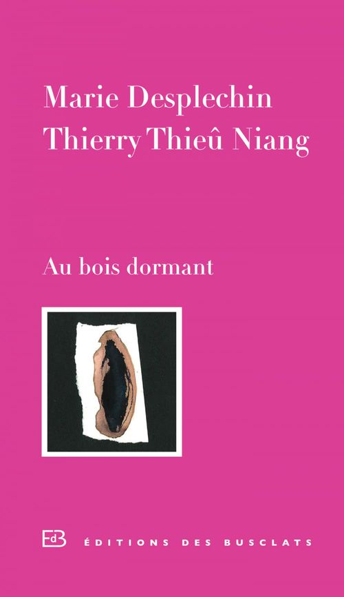 ebook cover of Au bois dormant, by Marie Desplechin, Thierry thieu Niang