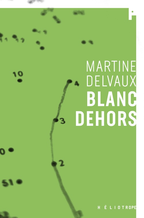 ebook cover of Blanc dehors, by Martine Delvaux