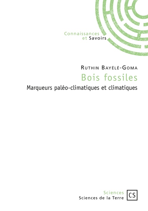 ebook cover of Bois fossiles, by Ruthin Bayélé-Goma